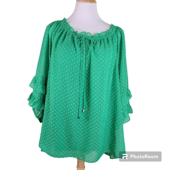 Cato Tops - Cato swiss dot Blouse, sz 22/24 kelly green peasant fairy lagenlook oversized